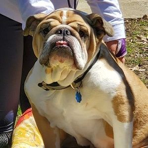 Meet your Posher, Lori